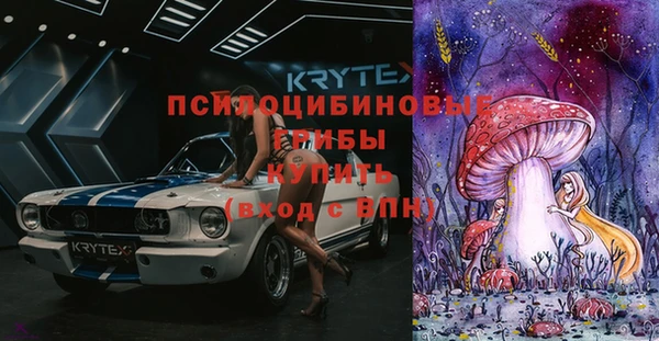 mdma Краснослободск