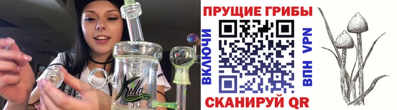 Галлюциногенные грибы мухоморы  Самара 