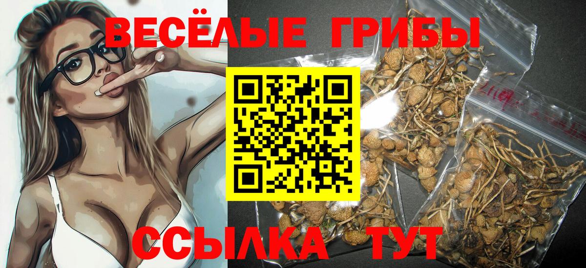 Самара  Галлюциногенные грибы ЛСД  цены   Вход с VPN 