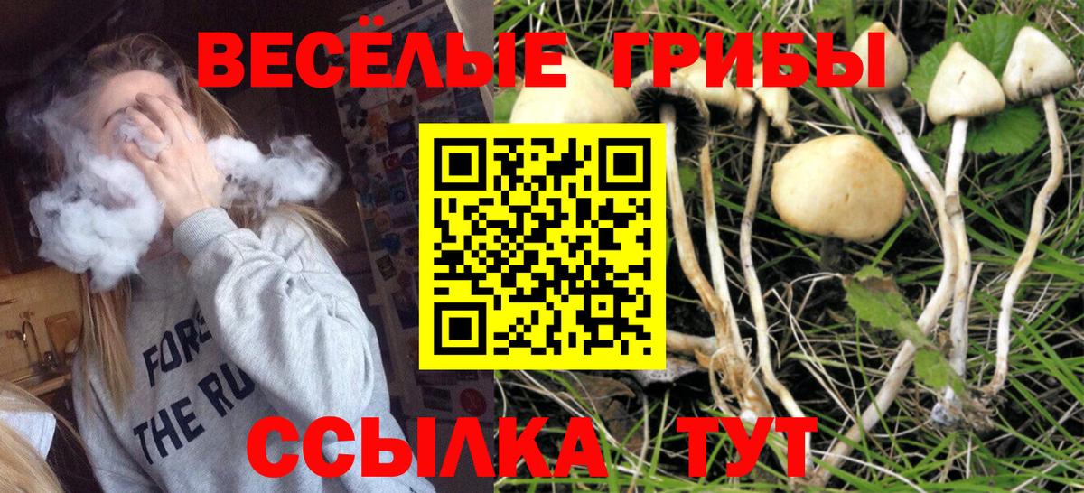 Псилоцибиновые грибы Psilocybine cubensis Самара